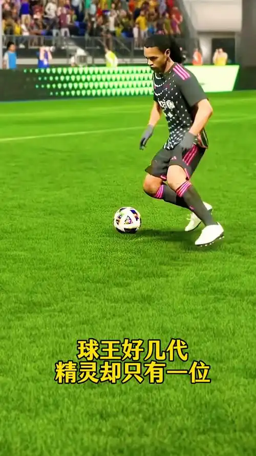 的中坚力量