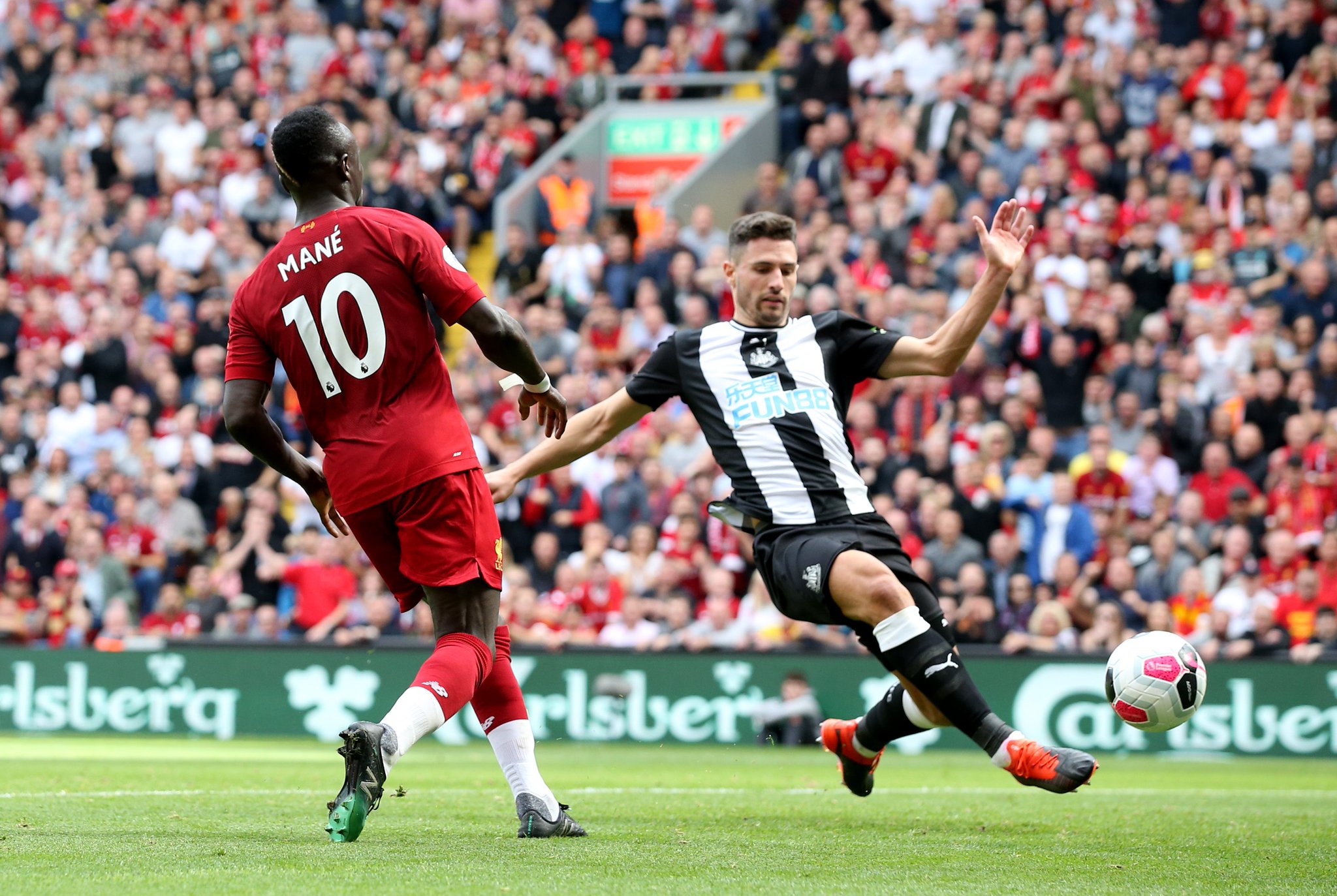 高昂的球员 高昂的球员